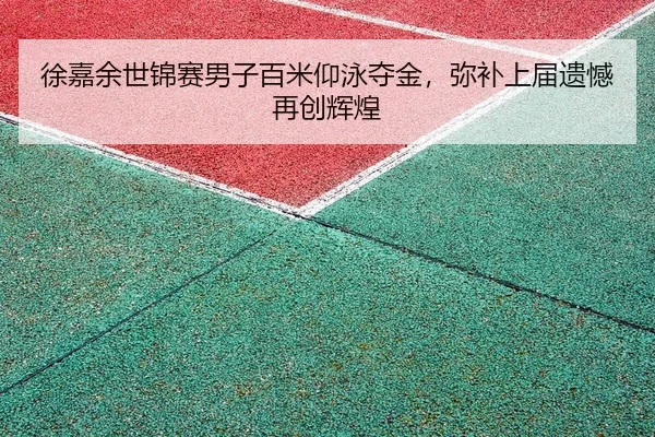 徐嘉余世锦赛男子百米仰泳夺金，弥补上届遗憾再创辉煌